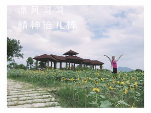 廈門游記--螞蜂窩