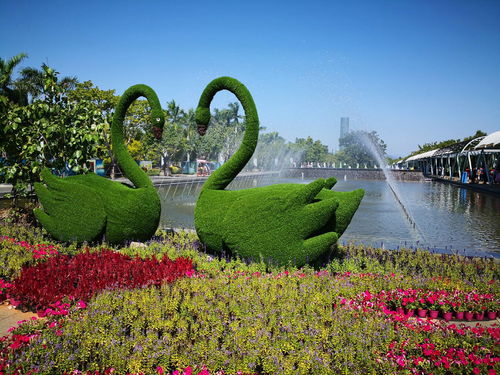 國慶假期,到園博苑來尋找秋日之美