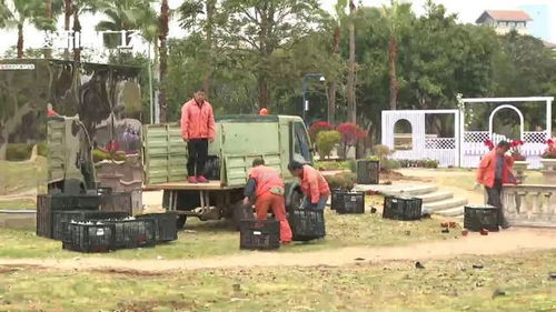 廈門園博苑郁金香花展撤展,這些花能帶走嗎,園方發話了