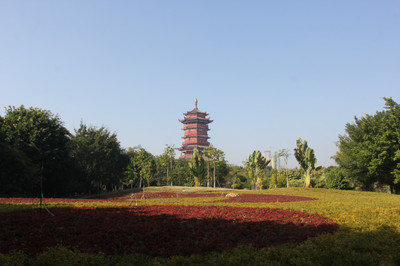 20160208猴年初一的廈門園博苑