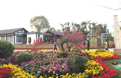 2017年元宵節和家人廈門園博苑賞花半日游隨手拍