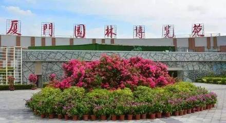 白鷺洲噴泉燈光秀連播4天,一大波花海上線,還有&hellip;