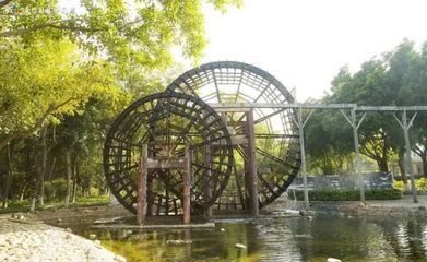 廈門園博苑春游好去處(水系美景+燈光秀+花海)