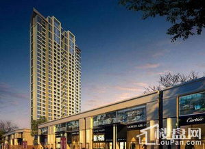 中航城 花園道 執(zhí)掌5大財(cái)富 10萬抵20萬