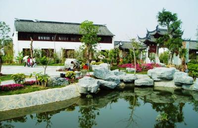 走進廈門園博苑,欣賞園內各色的植物