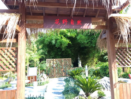 6月25日至7月25日,廈門版 百草園 ,園博苑中草藥植物展將結束