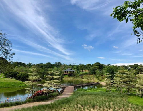 六一帶娃去哪兒 廈門這些地方別錯過