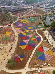 酷爆了 廈門園博苑首屆七彩風車游樂園震撼來襲