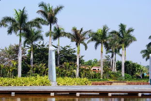 建筑的小品,品位廈門園博苑