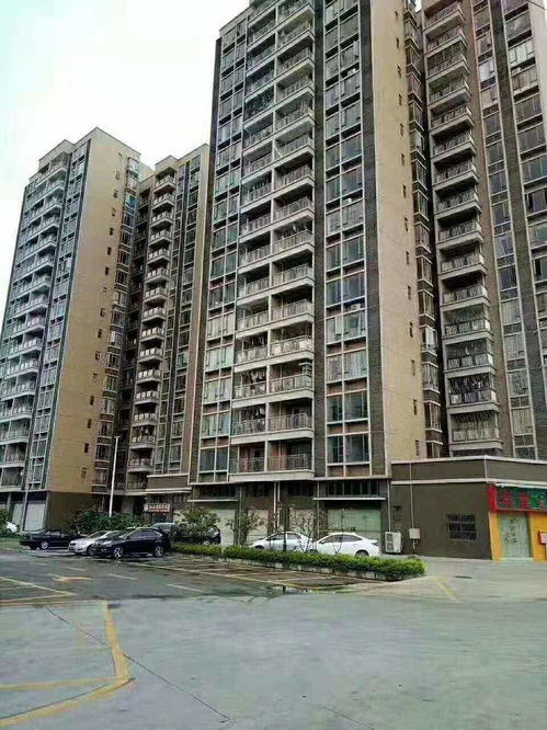 長安金澤家苑7700 平起 大型花園綠本村委樓