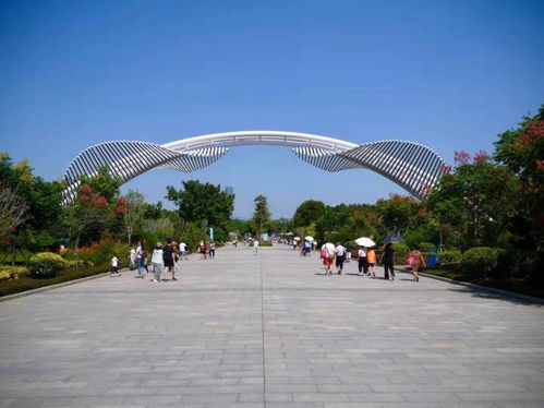 國有a級景區門票五折,公共交通免費,留 廈 過年出島這樣玩