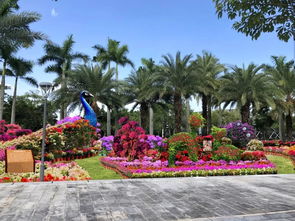 游集美,慶國(guó)慶 7萬(wàn)盆三角梅將在園博苑 比美 最新劇透來(lái)了