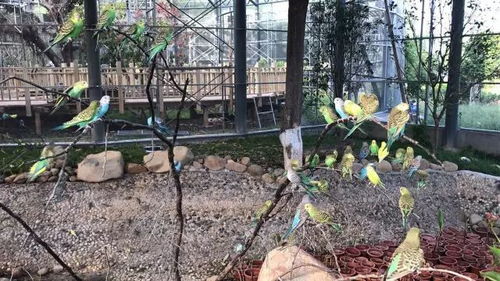 遛娃新去處 廈門(mén)園博苑生態(tài)館全新亮相 萌力加倍,趣味十足