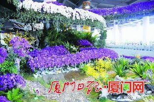 9月26日 10月11日 到廈門(mén)園博苑博餅賞花看表演