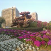 廈門廈門園林博覽苑攻略,廈門廈門園林博覽苑門票/游玩攻略/地址/圖片/門票價格【攜程攻略】