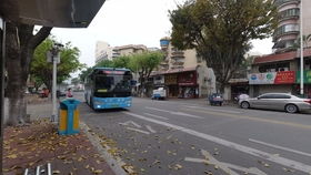 廈門公交908路：從前場社區站到園博苑公交場站的便捷之旅