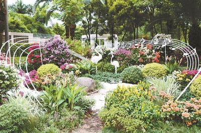 廈門之美 | 浪漫假期 花樣常新 廈門園博苑