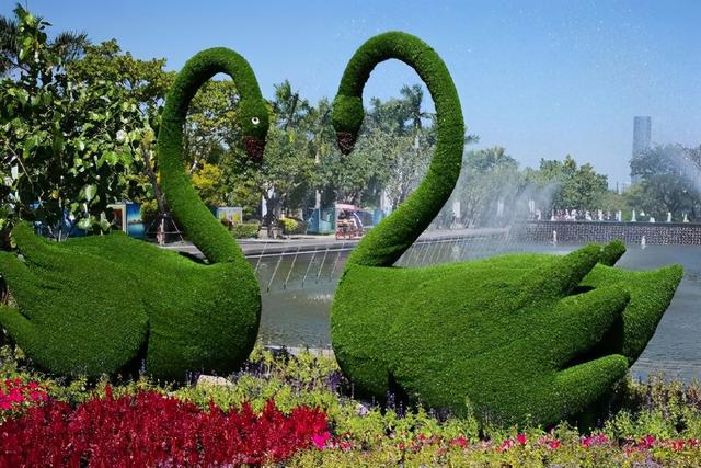 廈門園博苑五月一日后免費開放，省60元門票暢享國家4A級景區