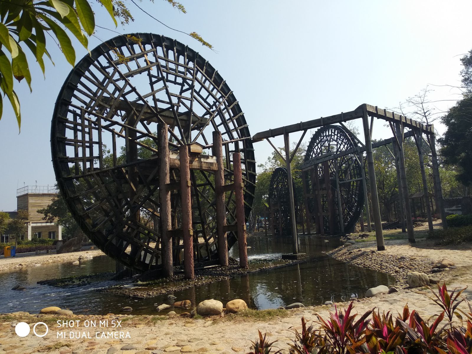 廈門園博苑 冬日里的園林藝術盛宴