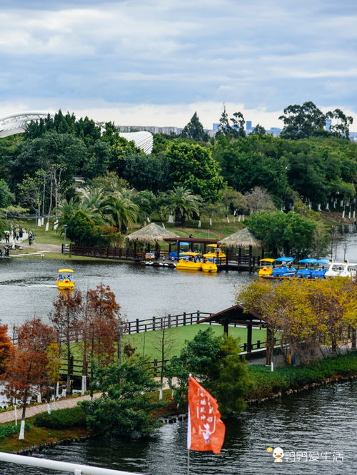 廈門園博苑春節(jié)郁金香花展 只有10天，錯過又要等一年