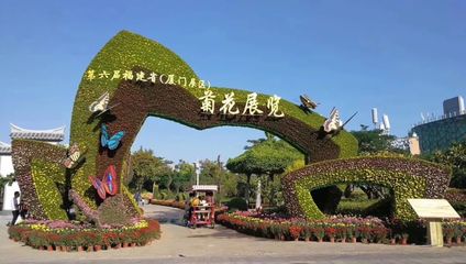 秋風颯起時，賞菊正當時——廈門園博苑秋日游賞