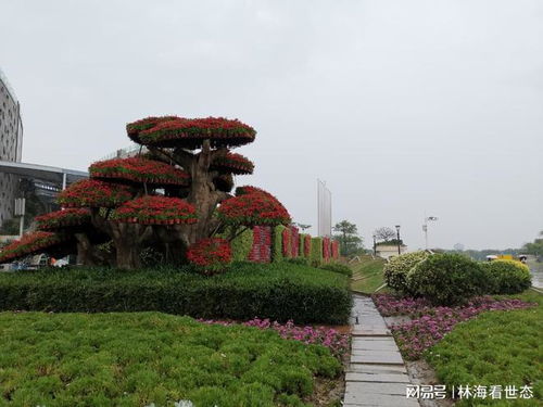 廈門園博苑風雨突襲，游客行程泡湯