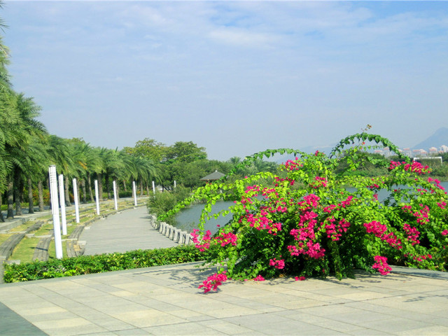 探訪廈門周邊寶藏 園博苑的魅力之旅
