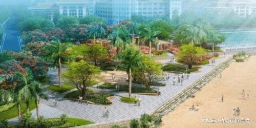 翔安大橋通車、新建公園，廈門迎來發展新機遇，身價或將上漲