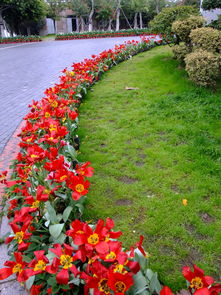 陰雨廈門園博苑 觀燈展的另一番詩意