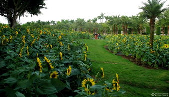 廈門園博苑隨拍 鄰里共享的自然與文化盛宴