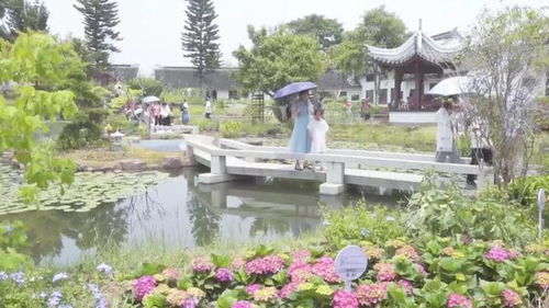 半小時(shí)省了30萬(wàn)元門(mén)票錢(qián) 免費(fèi)首日廈門(mén)園博苑到底有多火