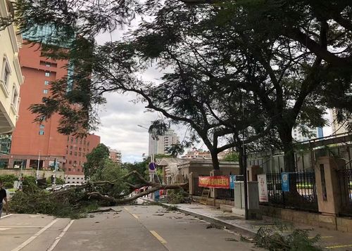 廈門(mén)部分景區(qū)及輪渡航線臨時(shí)關(guān)閉緊急通知