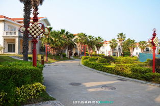 廈門(mén)攻略 那一片海，那一片城——漫步園博苑，盡覽園林之美