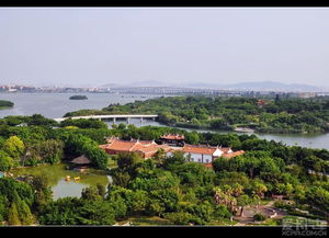 俯瞰廈門(mén)園博苑 一幅山海間的園林長(zhǎng)卷